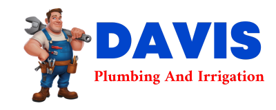 Trusted plumber in RANDLETT